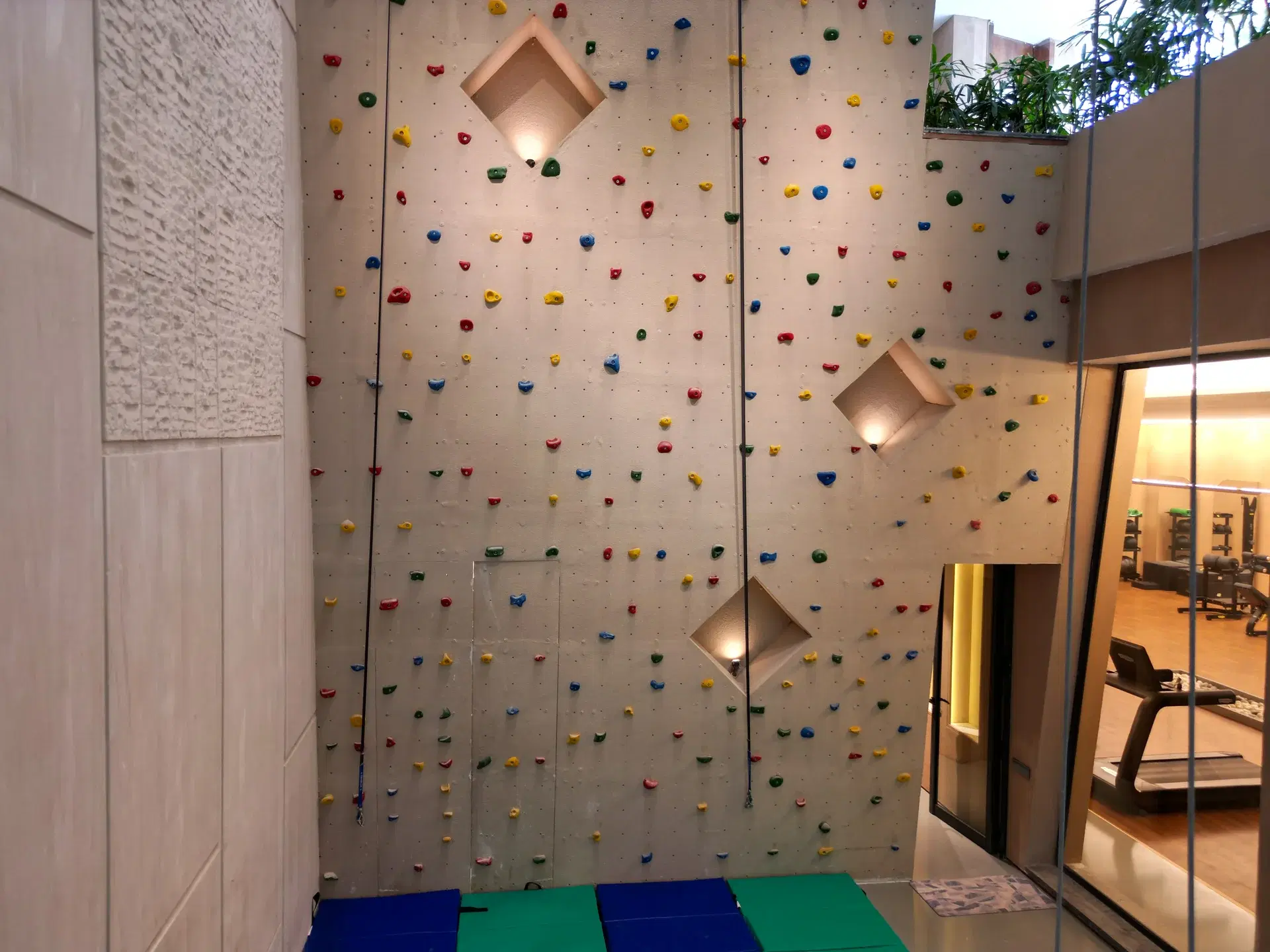 OutisOut – Designer Indoor Climbing Wall at Hailey Road