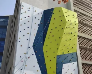 climbing wall for gym