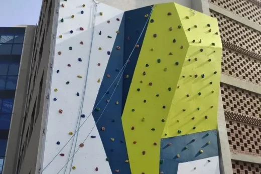 climbing wall for gym
