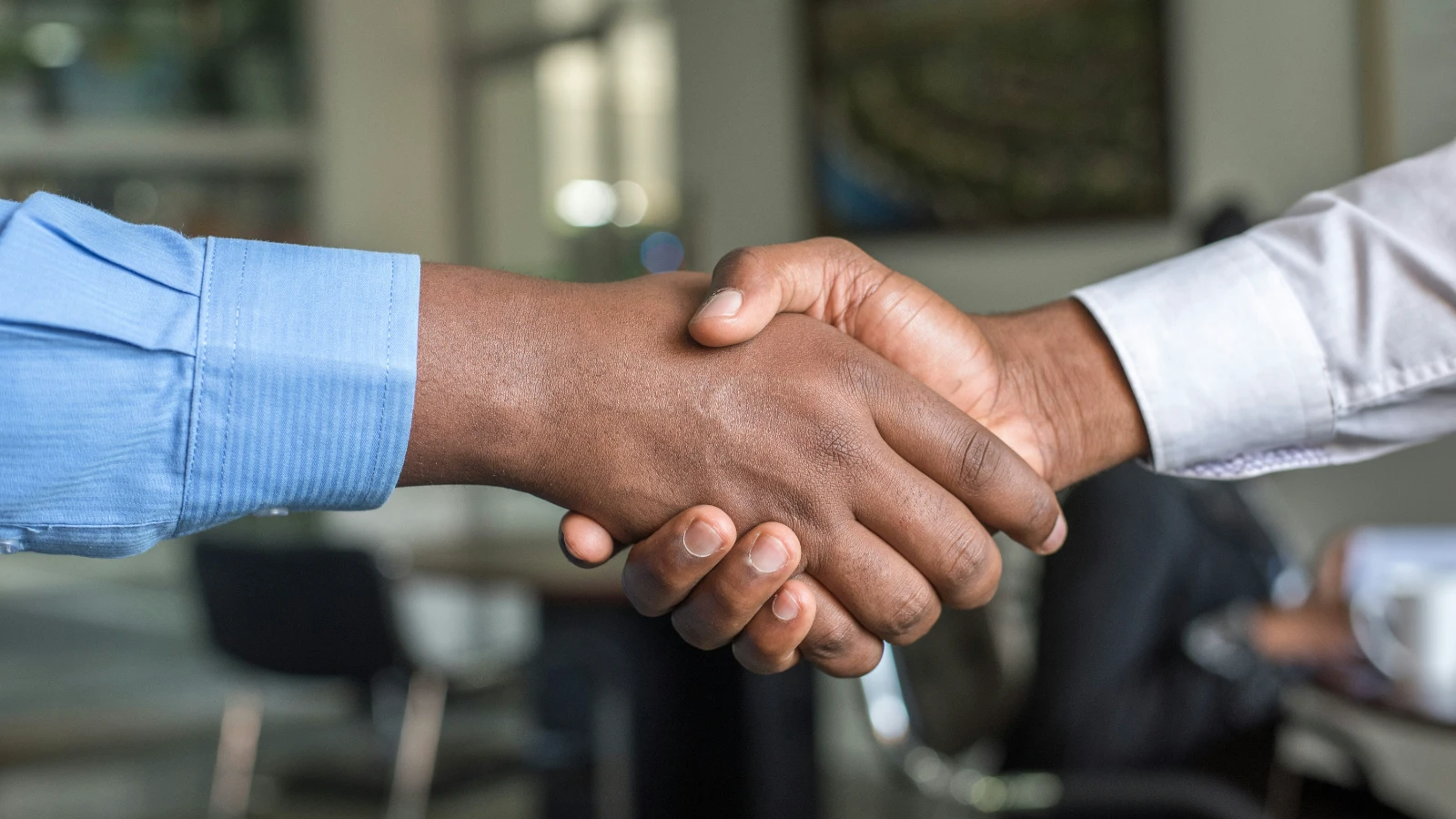 Importing and Vendor Partnerships